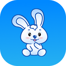 Hong Kong Cybodev Tech Limited